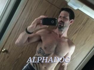 ALPHADOG
