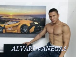 ALVAROVANEGAS
