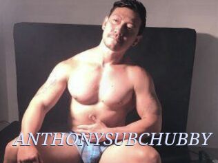 ANTHONYSUBCHUBBY