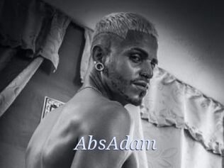 AbsAdam