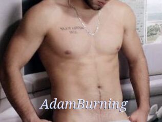 AdamBurning