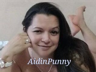 AidinPunny