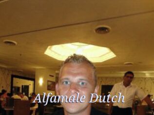 Alfamale_Dutch 777 Erotik Chat
