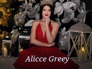 Alicce_Greey