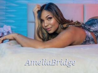 AmeliaBridge