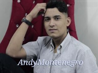 AndyMontenegro