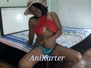 AniKarter