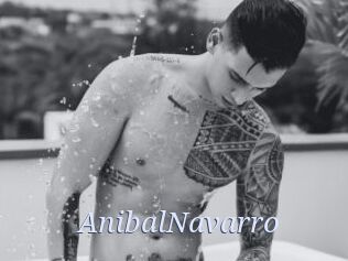 AnibalNavarro