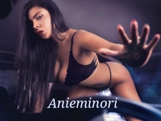 Anieminori