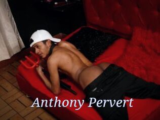 Anthony_Pervert