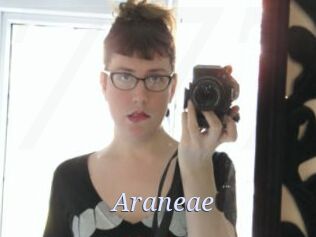 Araneae