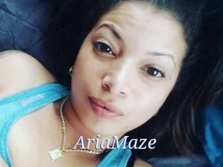 Aria_Maze