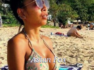 Asian_Fox