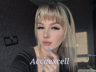 Accaexcell