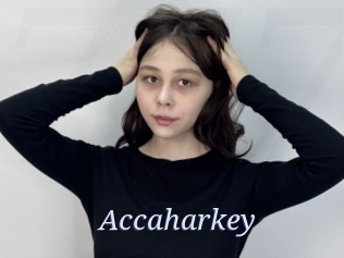 Accaharkey