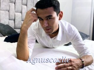 Agnuscaelie