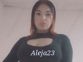 Aleja23