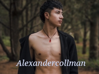 alexandercollman 777 Erotik Chat