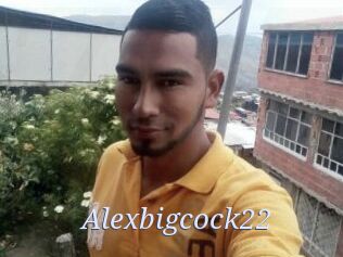 Alexbigcock22