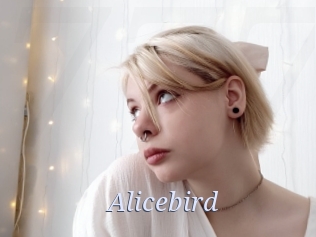Alicebird