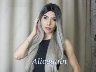 Alicequin