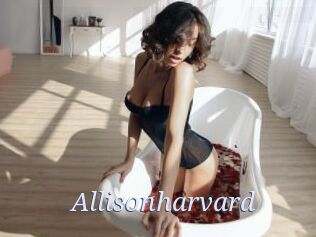 Allisonharvard
