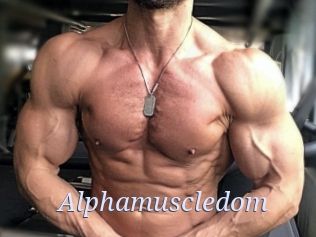 alphamuscledom 777 Erotik Chat