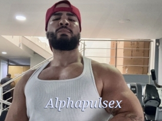 alphapulsex 777 Erotik Chat