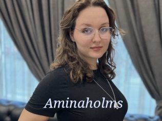 Aminaholms