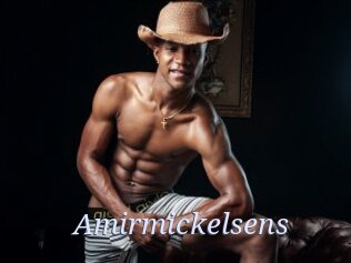 Amirmickelsens