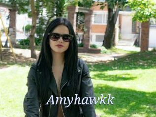 Amyhawkk