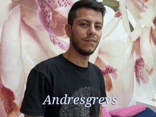 Andresgreys