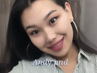 Andy_pnd