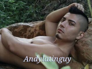 Andylatinguy
