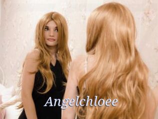 Angelchloee