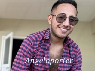 Angeloporter