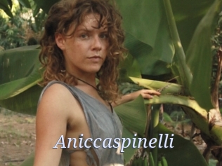 Aniccaspinelli