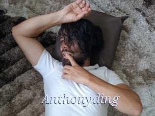 Anthonyding