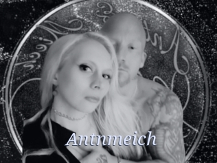 Antnmeich