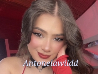 Antonelawildd