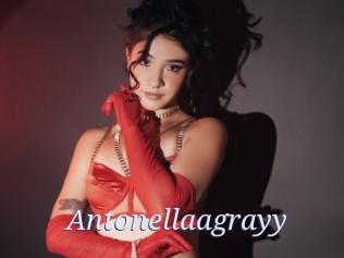 Antonellaagrayy