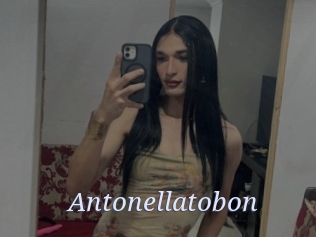 Antonellatobon