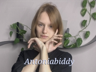 Antoniabiddy