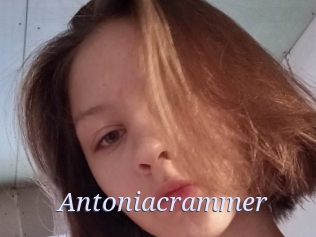 Antoniacrammer