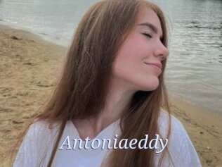 Antoniaeddy