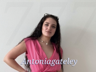 Antoniagateley
