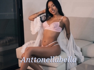 Anttonellabella
