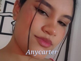 Anycarter