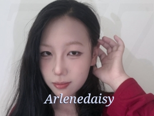Arlenedaisy