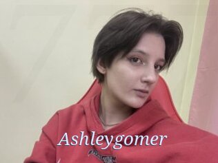 Ashleygomer